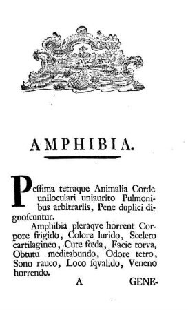 Amphibia