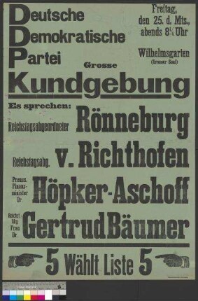 Plakat der DDP zu einer Wahlkundgebung am 25.                                         November 1927 in Braunschweig