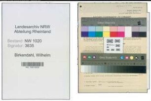 Entnazifizierung Wilhelm Birkendahl , geb. 29.09.1886 (Geschaeftsfuehrer)