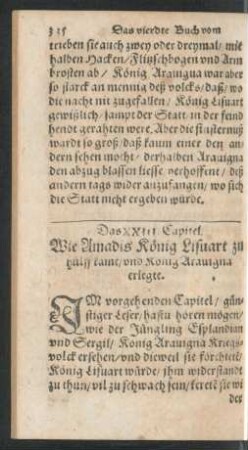 Das XXIII. Capitel. Wie Amadis König Lisvart zu hülff kame ...
