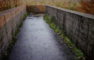 Forstwegüberführung, Gernsheim