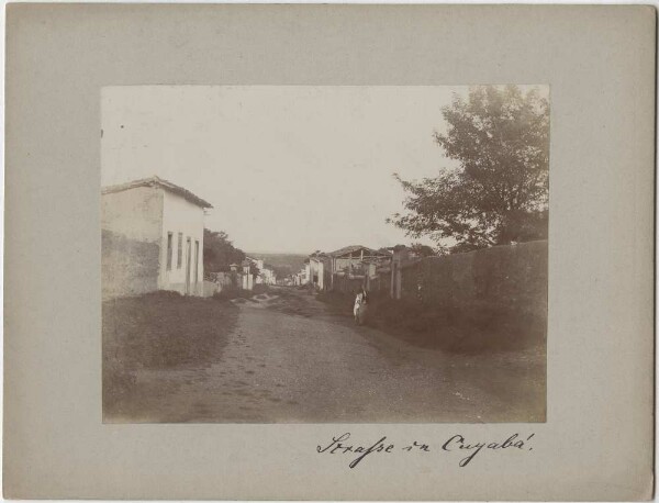 Street in Cuyabá