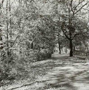Foto, Cottbus-Sandow