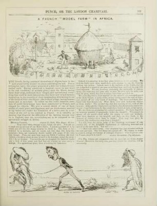 A French "Model Farm" in Africa