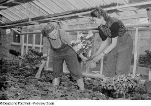 Blumenpflege im Gewächshaus