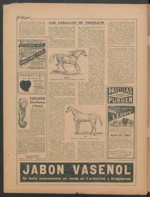 Los caballos de napoleón