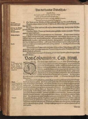 Von Coloquinten, Cap. XCVIII