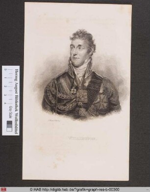 Porträt des Duke of Wellington
