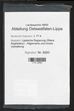 Konsistorialverfassung und Organisation der Gerichtsverfassung im erbherrlichen Amt Blomberg