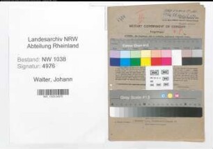 Entnazifizierung Johann Walter , geb. 09.06.1892 (Bankprokurist)