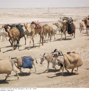 Irak: Karawanenweg