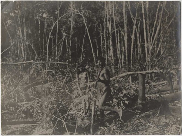 Plantation du chef Makazore à Hanauinahirtigo sur le Juruena (Paressi-Kabiši)