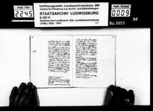 Viehhirten : Zwei Viehhirten treiben einige Rinder und Ziegen an