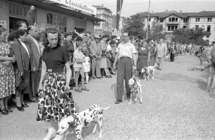 Jubiläumsausstellung des Vereins der Hundefreunde Karlsruhe in der Messehalle am Festplatz.