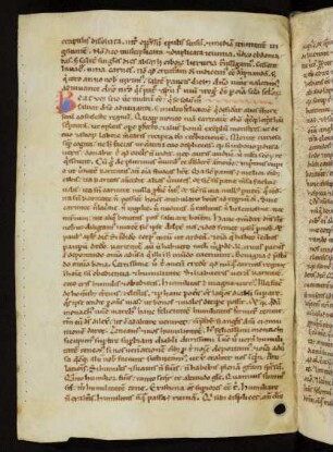 Liber de virtutibus et vitiis (unvollständig)
