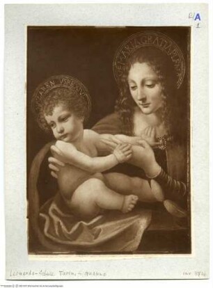 Madonna