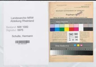 Entnazifizierung Hermann Schulte, geb. 26.06.1908 (Arzt)