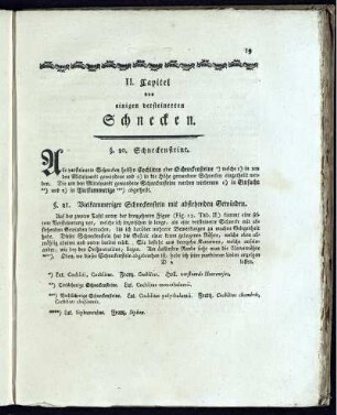 II. Capitel von einigen versteinerten Schnecken.