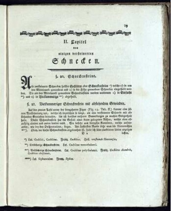 II. Capitel von einigen versteinerten Schnecken.