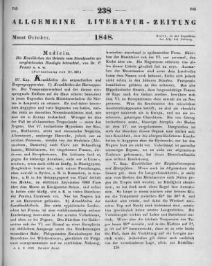 Numero 238