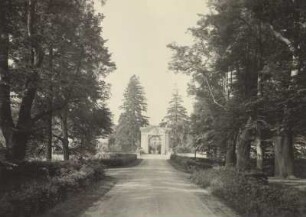 Radmeritz (heute: Radomierzyce), Schloss Joachimstein, Zufahrtsstraße, Blick in Richtung Schloss