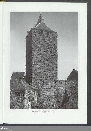 Rothenfels, Bergfried der Burg