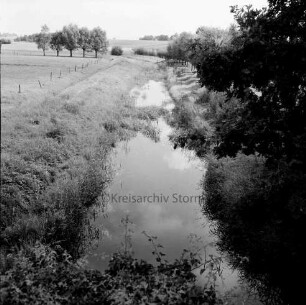 Heilsau: Verkrautung im Wasser: rechts Büsche: links angrenzende Wiese: hinten Baumreihe und Wiesen