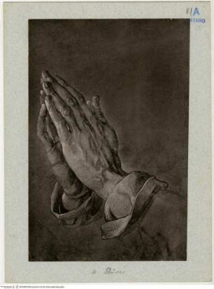 Betende Hände (Studie zum Heller Altar)