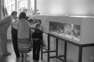Museum am Friedrichsplatz (Naturkundemuseum). Sonderausstellung "Tierwelt der Mittelmeerküste"