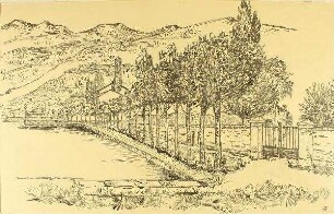 Allee am Gardasee