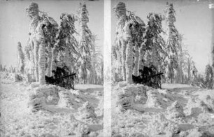 Winterlandschaft mit Raureif am Hirtstein