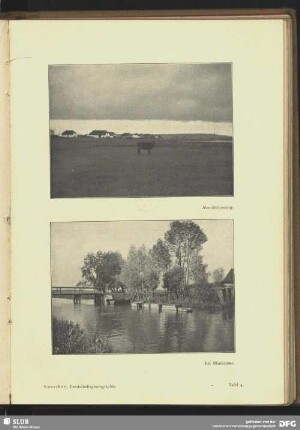 Abendstimmung (Kuh auf Feld)