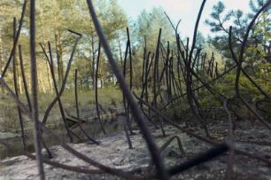 Überreste eines Wehrmacht-Luftschutzbunkers in Peenemünde