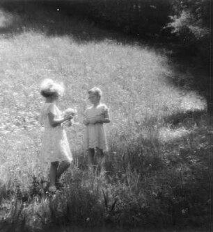 Kinderbilder. Zwei Mädchen auf einer Wiese