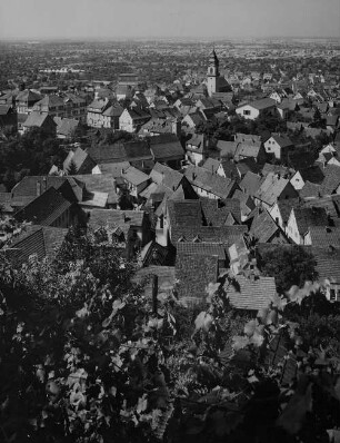 Archivfotografie "bergstrasse_dossenheim_p366"