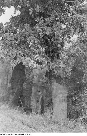 Rückenansicht einer unter einem Baum stehenden Person