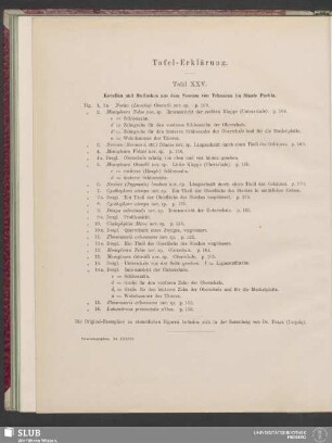 Tafel-Erklärung: Tafel XXV