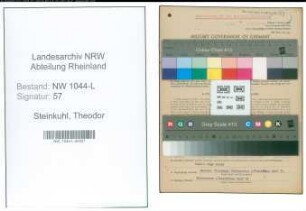 Entnazifizierung Theodor Steinkuhl , geb. 19.11.1890 (Schreiner)