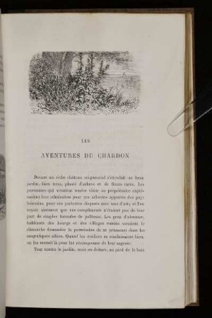 Les Aventures Du Chardon