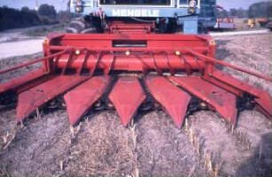 Fotografie: Ernteverfahren, Maissilage, Maisgebiss, Feldhäcksler selbstfahrend