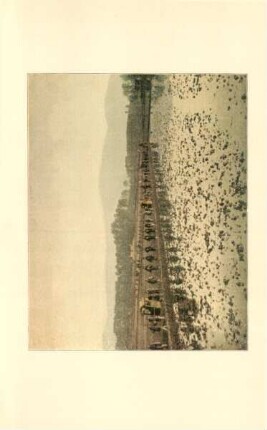 A portion of William Barclay Parson's retinue crossing rice fields ...