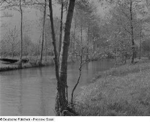 Ansicht eines Kanals im Spreewald
