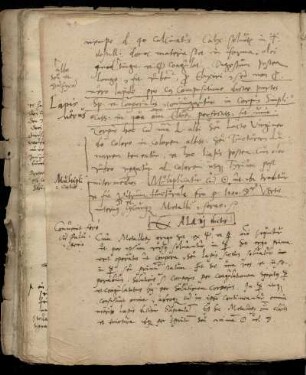 Dicta Alani, lat.-dt., Auszug