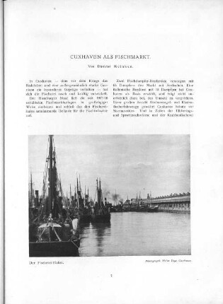 Cuxhaven als Fischmarkt.