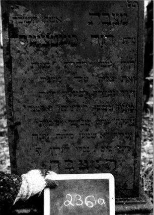 Grabstein 236 [Nir S. 166 Nr. 15.26]: Grabstein 236 (Detailaufnahme 2) [Nir S. 166 Nr. 15.26]