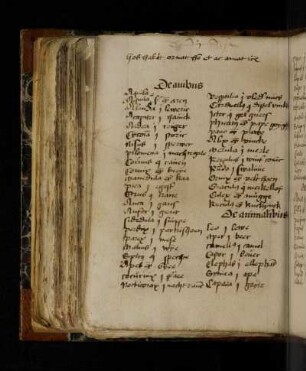 Lateinisch-niederdeutsches Glossar.