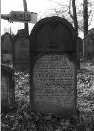 Grabstein 349 (Index: 100115779) Material: Sandstein Zustand: verwittert Maße HxBxT: 133x56x16 cm Beschreibung: Stele mit Rundbogenabschluß, eingetieftes Schriftfeld mit Rundbogenabschluß Symbolik: Levitenkanne, Blüte: Grabstein 349