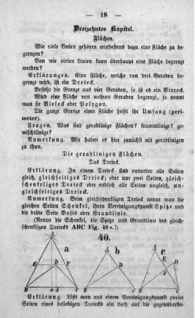 Dreizehntes Kapitel. Flächen.