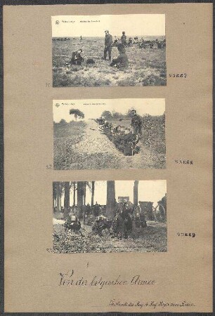 Fotopostkarten: Officiers des Grenadiers