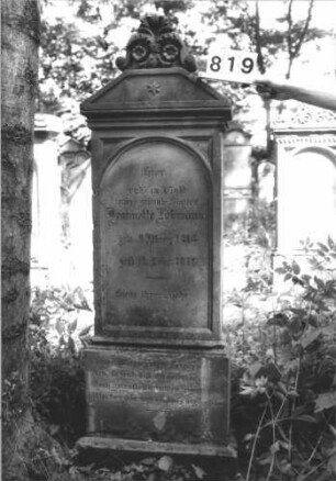 Grabstein 819